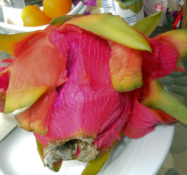 Johanna Björk: 100907: Dragonfruit